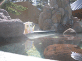 joho20070430_03