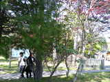c94f3e97.jpg