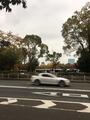 ca874979.jpg