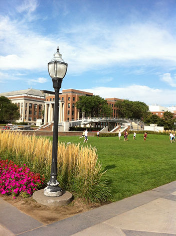 �ߥͥ������