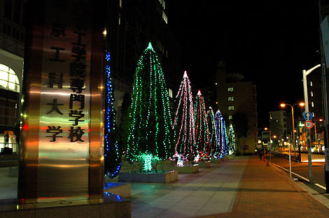 ���ꥹ�ޥ��ĥ꡼������ ���ܹ��ر�����ع�(���Ĺ�)9