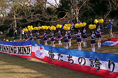 �裴�������Ҳ�ͥ��å������Tiara2