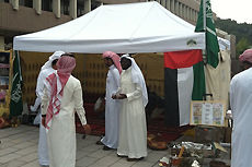 ����������ӥ��֡������Ȳں�