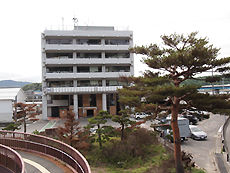 �ܸŻ�ģ�ˣ�