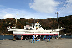 ���������ȡ�����