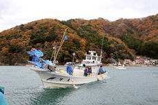 ���Ρ�����������ϡ�£��