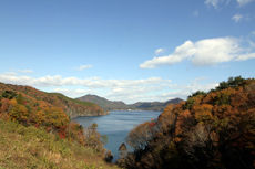 ����ϡ��д�������