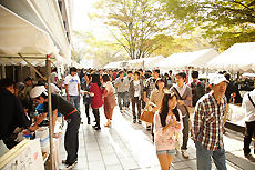 ϪŹ�����Ȳں�