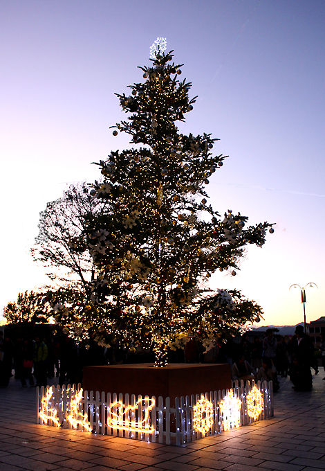 ���ꥹ�ޥ��ĥ꡼�����ܹ��ر�Ȭ��������ع�