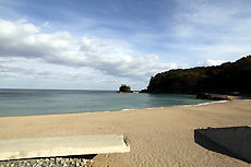 ����ϡ��д�������