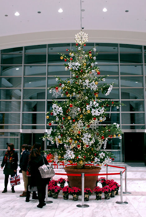 ���ꥹ�ޥ��ĥ꡼������ ���ܹ��ر�����ع�(���Ĺ�)7