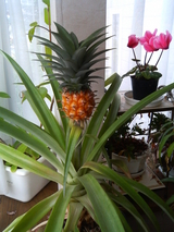 ��ä�û�����åȤ��٤�����