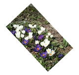 �����å���