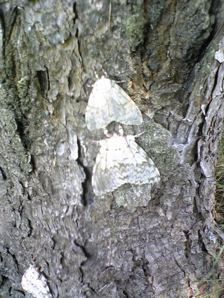 DVC00067