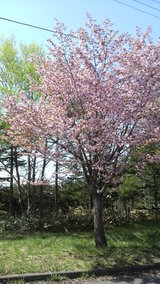 �������Υ�����