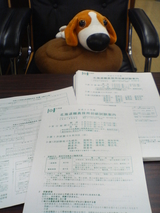 20ǯ���̳�ƻ����罸����