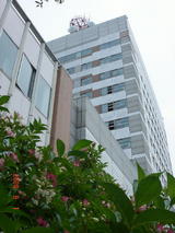 �Ѿ��һ�ģ��