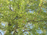5c9deb71.jpg