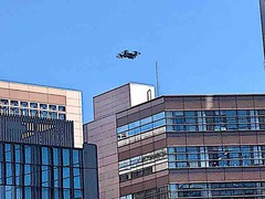 IMG_0331
