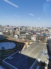IMG_20210310_105917