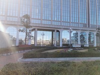 IMG_20210219_093835