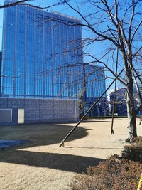 IMG_20210219_094507