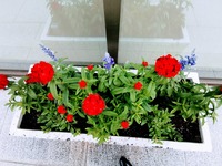 IMG_20210611_171637