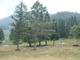 P7300008