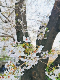 IMG_20220402_164700