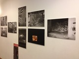 IMG_3533