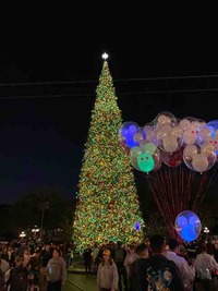 E2702AE2-AD9F-4A5F-8CE9-54143B4712A5