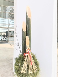 IMG_20230106_085824