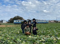 line_152571286723132