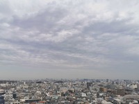 IMG_20210316_092350