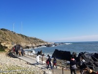 line_152605402633536