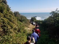 line_152607368587858