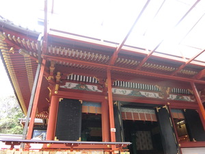 CIMG4505