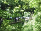 写真2