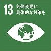SDGs 13(100)