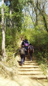 高尾山2018