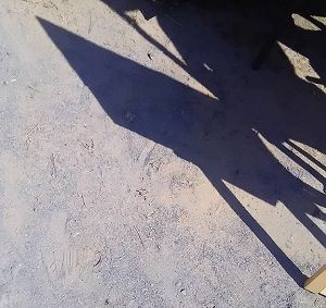 ���ե������ı�