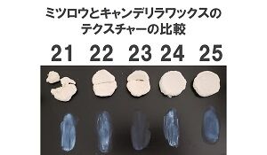 ワックス比較