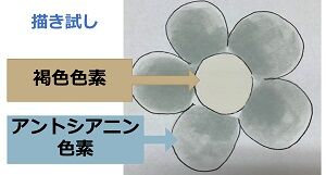 ブログ試し書き
