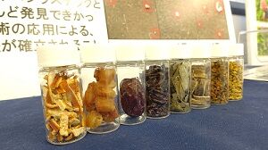 生薬サンプル