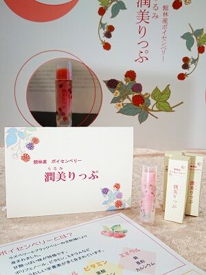 BBリップ2a縮小