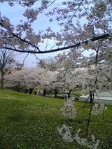 85f57e20.jpg