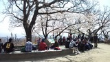 IMG00224