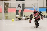 IZM_2196