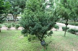 255e1ba2.jpg