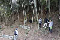 IMG_7900